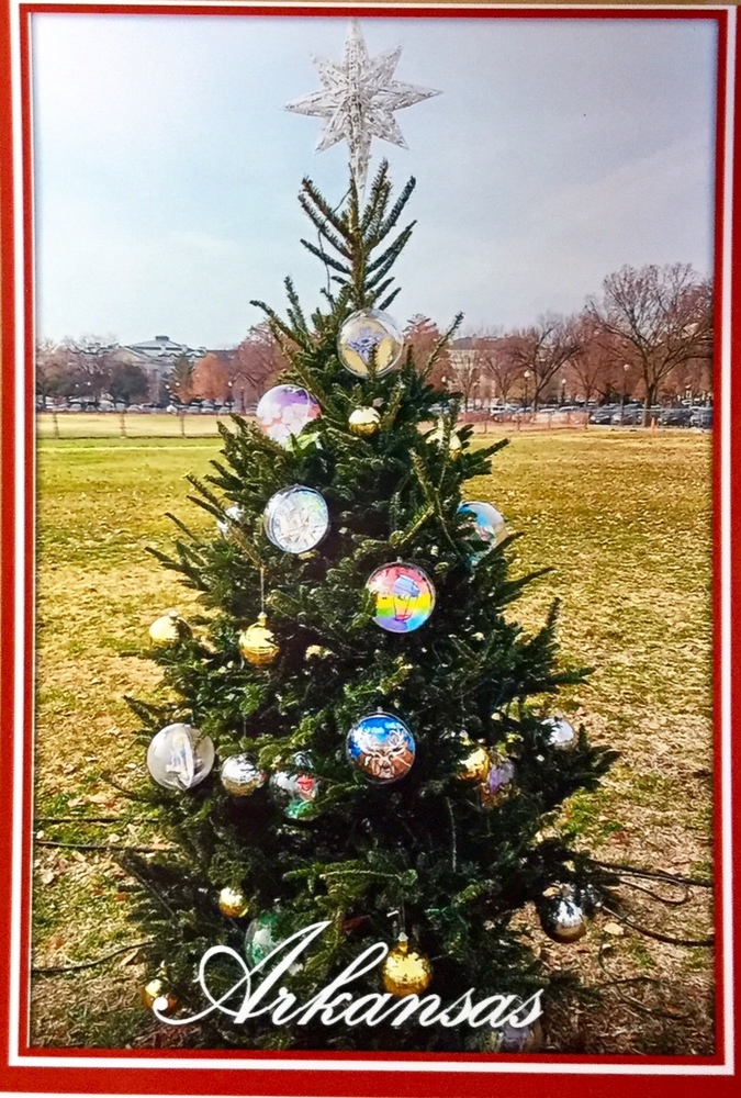 Arkansas Christmas Tree
