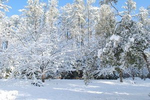Schedule Changes to Make up Snow Days