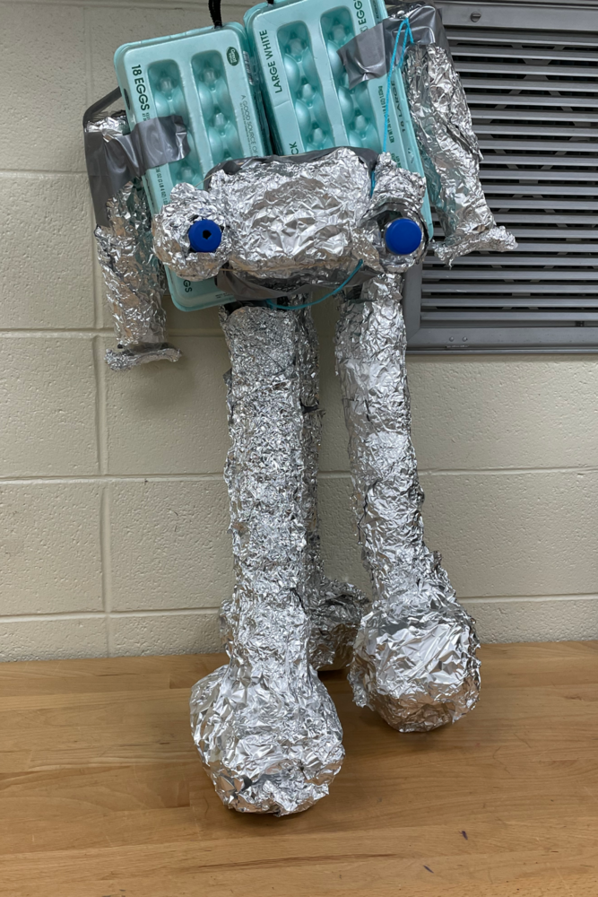 Future Designers in Project-Based STEM Class