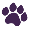 Small_1543498692-logo-bjh