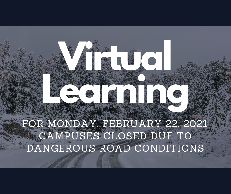 virtual learning