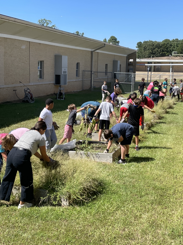 Agriculture Class Garden