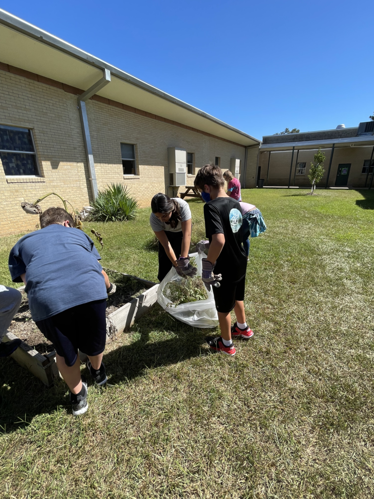Agriculture Class Garden