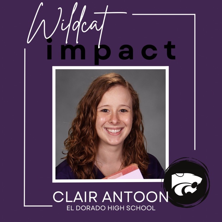 wildcat impact Clair Antoon 
