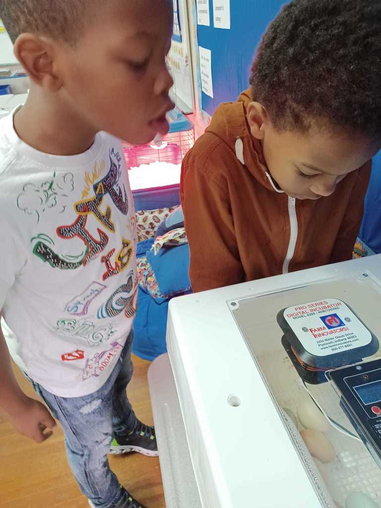 two students looking into an incubator